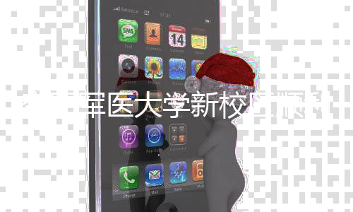 新校年整大学工 区顺迁体搬军医计划利竣空军